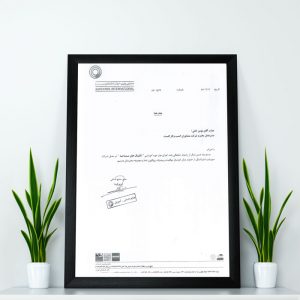 تقدیرنامه شرکت سوپرپایپ اینترناشنال از آقای مومن خانی مدرس دوره تکنیک های محاسبه